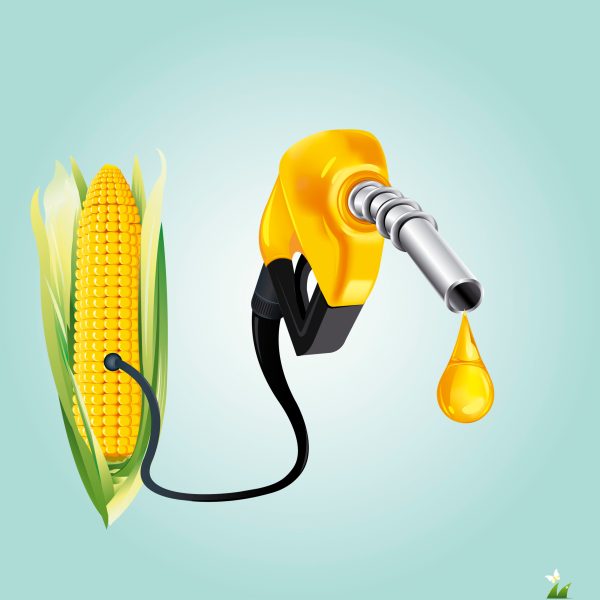 Lobbying fight kicks off as ethanol rules sent to the White House