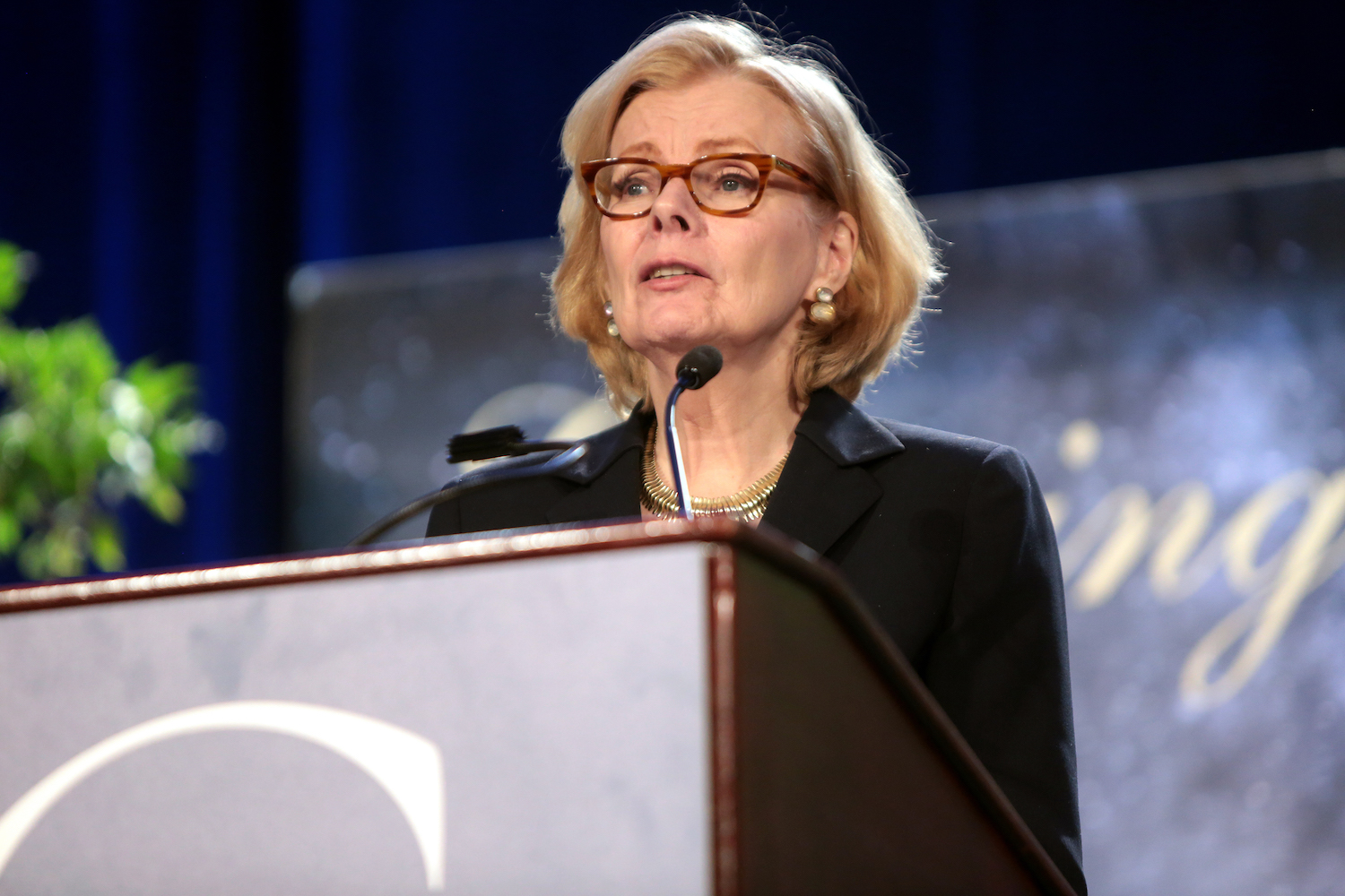 Peggy Noonan: Trump ‘is the problem,’ not his staff
