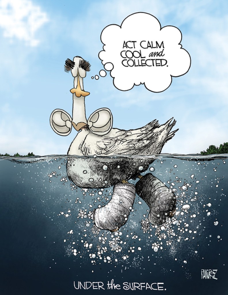 Under the Surface…
