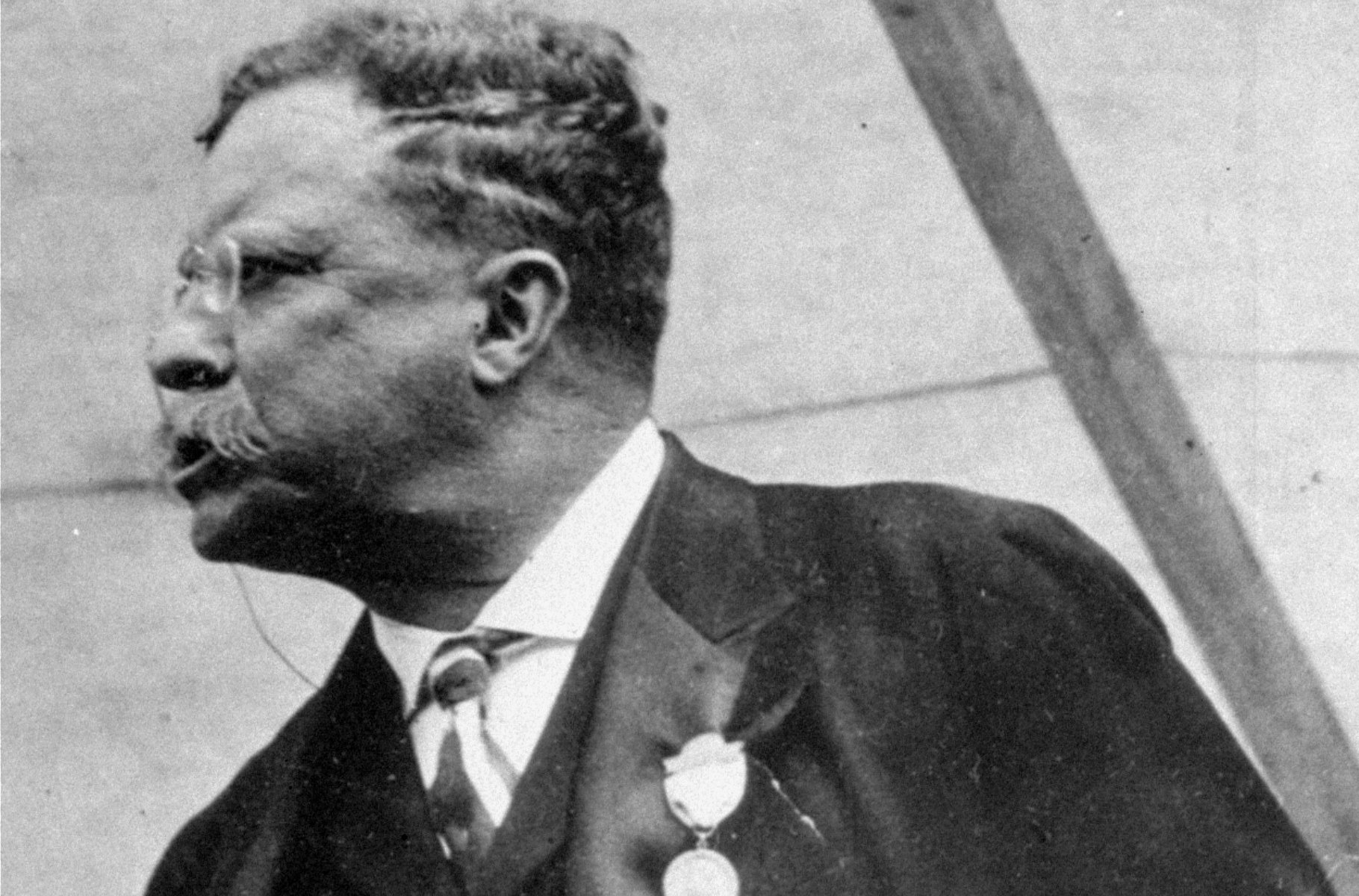 Save Teddy Roosevelt