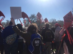 Liberal protesters think preserving Obamacare promotes freedom