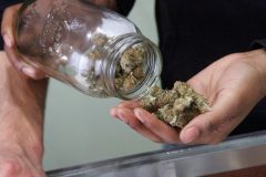 Coalition including California, Colorado push for federal cannabis reclassification