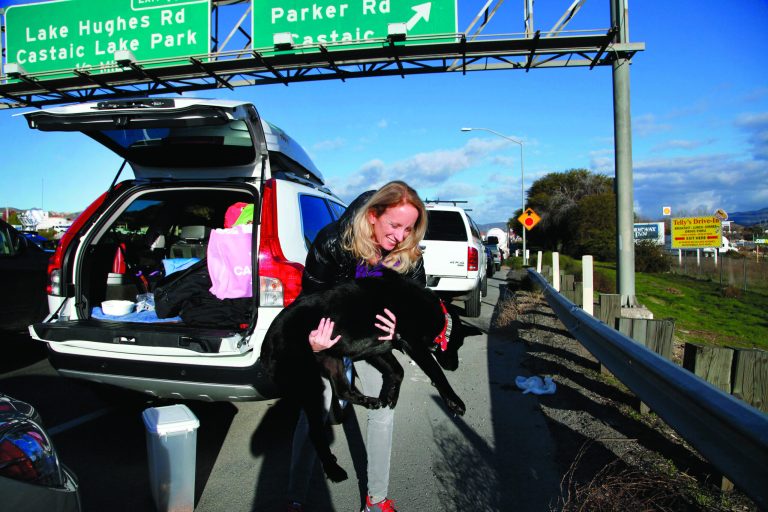 Heidi Blood carries her dog to the side of the road for a drink of water while waiting in line with her car along Interstate 5 north of Los Angeles on Friday, Jan. 11, 2013. The California Highway Patrol has partially reopened a 40-mile stretch of Interstate 5 north of Los Angeles that was closed for many hours due to snow. The CHP began escorting southbound motorists through the high mountain pass Friday morning. Northbound lanes are still closed. (AP Photo/Nick Ut)