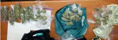 Traffic stop triggers seizure of drugs, gun and cash