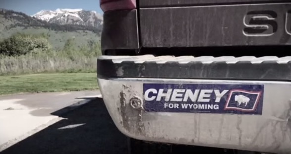 Liz Cheney bruised, trails Trump pick by 18 points