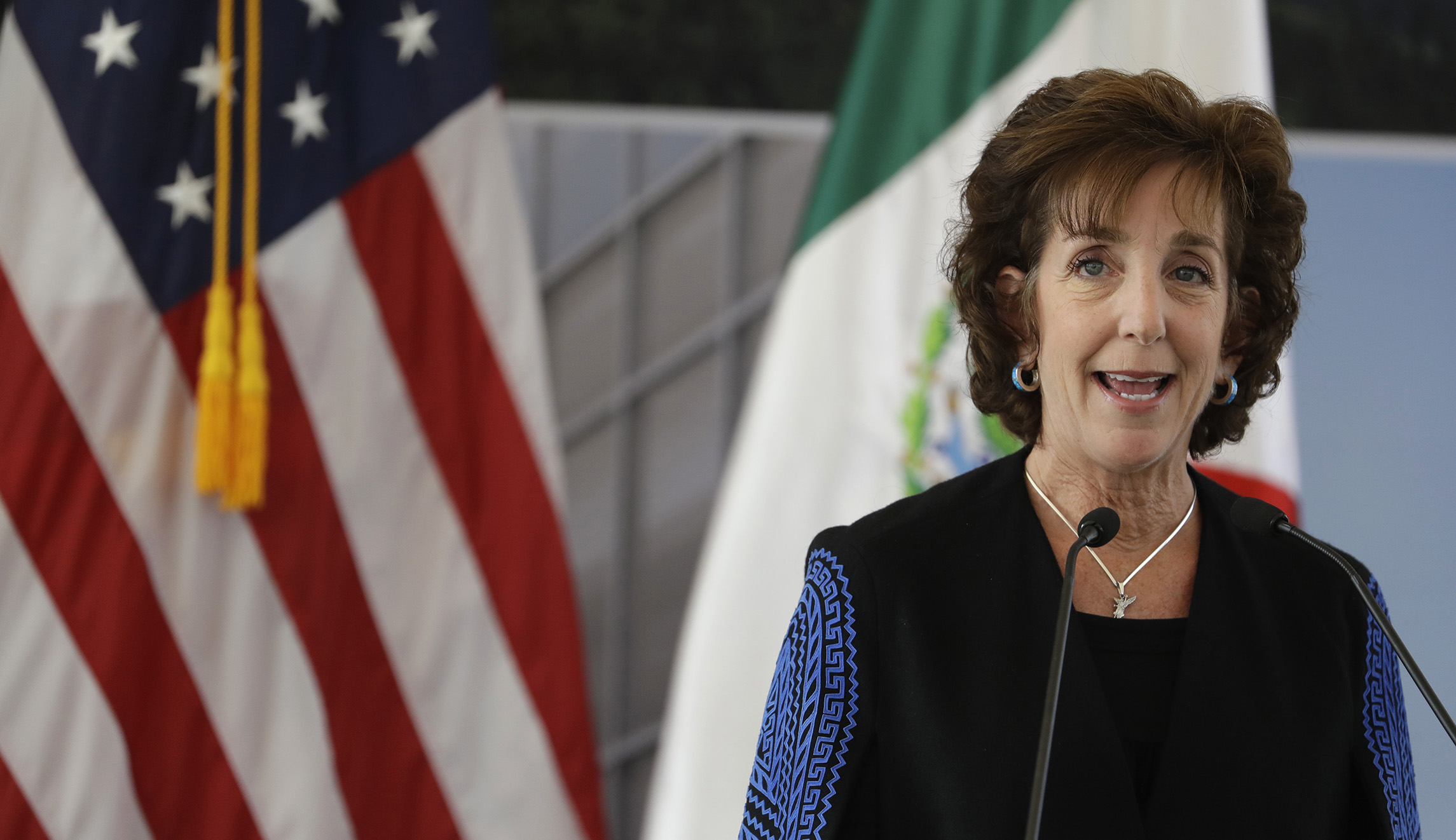 US ambassador to Mexico leaving in May