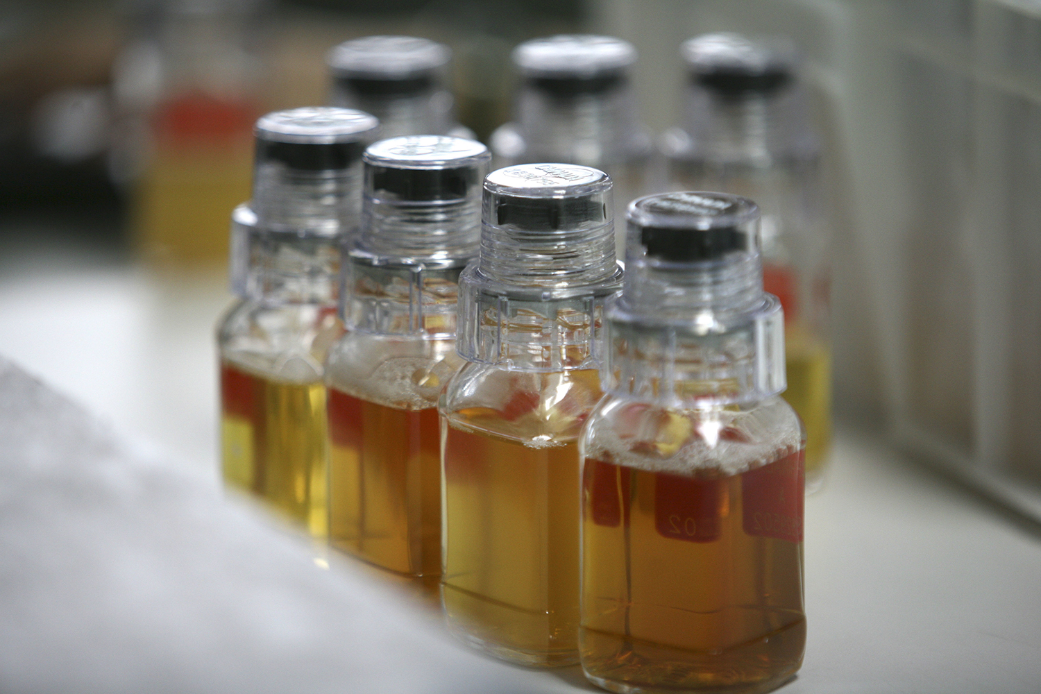 House concerned about doping at Olympics