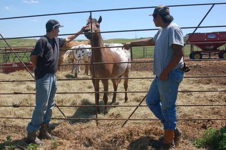   Teddy Iron Cloud, left, and Bubba Standing Bear tend to horses on the Standing Rock Sioux Indian Reservation on Wednesday, June 13, 2012. The boys, both 16, said they are not opposed to the University of North Dakotaâs Fighting Sioux nickname and logo and would have voted to keep it if they were old enough vote. (AP Photo/James MacPherson)  