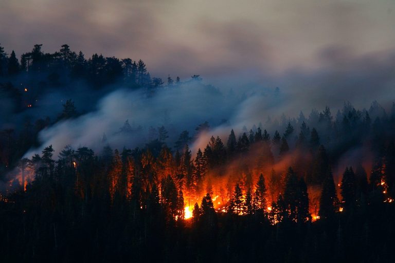 The Firestarter: What Happens When the Government Lies About You in Court?