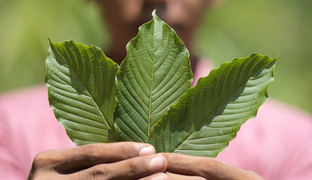 Advocates skewer FDA over ‘junk science’ blaming kratom for deaths