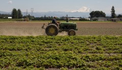 USDA faces lawsuit over Biden-era DEI policies allegedly still in place