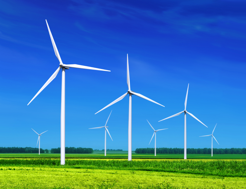 Green firm NextEra pressured feds for approval despite environmental worries