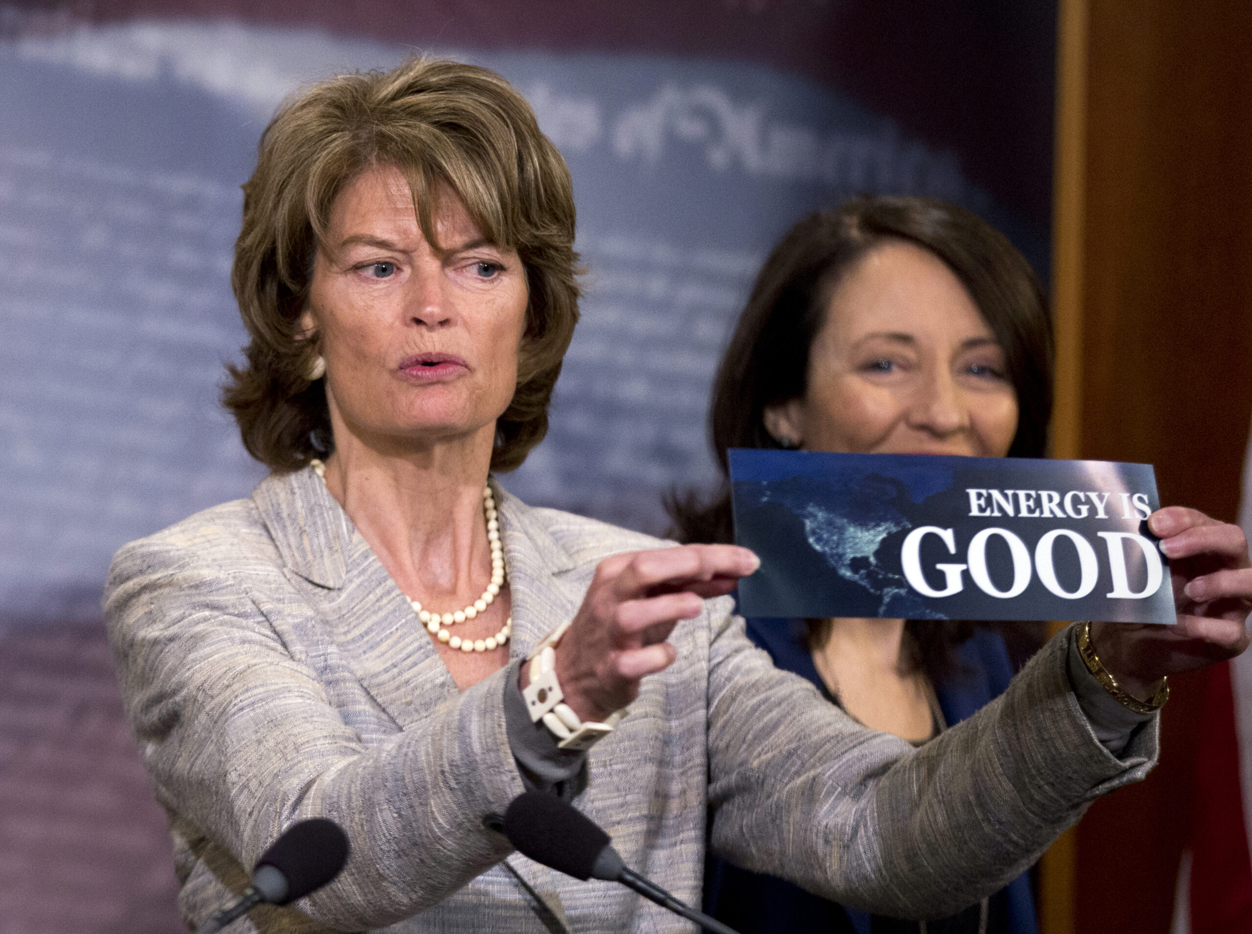 Energy bill could be victim of its own success