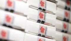 Smoking one legal joint in Canada could result in ban from US