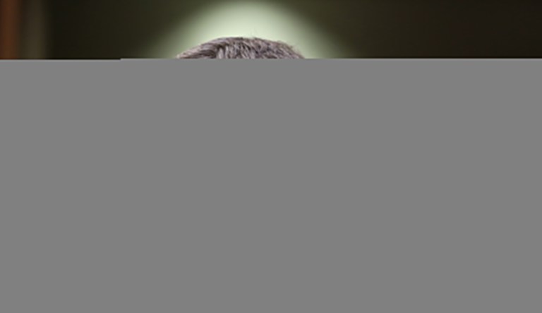 William Barr, President Trump's nominee to head the Justice Department, listens during a Senate Judiciary Committee confirmation hearing in Washington, D.C., on Tuesday, Jan. 15, 2019.