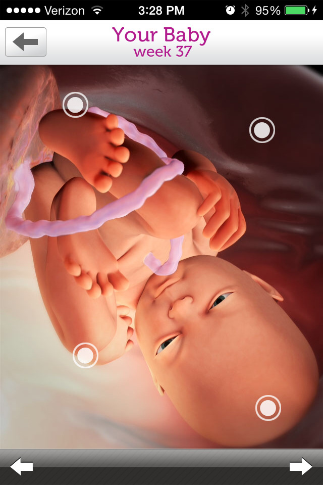 This image provided by WebMD shows the WebMD Pregnancy app. (AP Photo/WebMD)