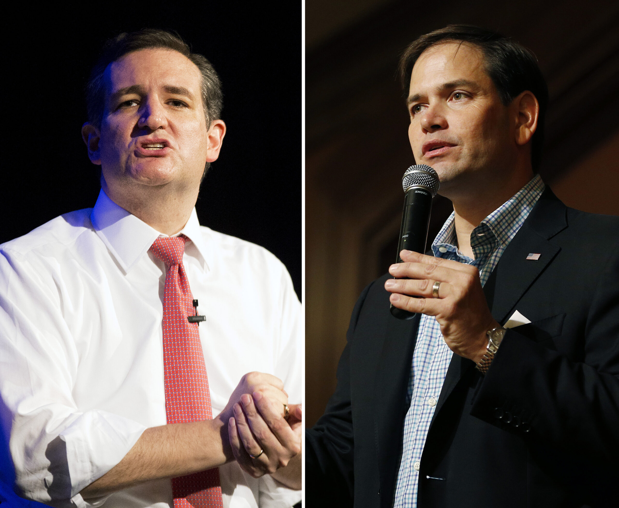 Cruz, Rubio in dead heat battle for campaign cash