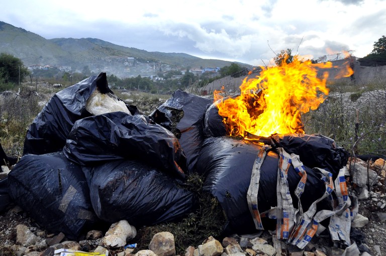 Albanian police burn seized cannabis in Lazarat village, 230 kilometers (140 miles) south of capital Tirana, Thursday, June 19, 2014. Near-continuous gunfire rang out from the lawless village as hundreds police have arrived to battle well-armed marijuana growers who were trying to thwart a government crackdown. (AP Photo)