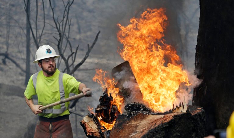 Wildfires burned up 9.4 million acres and cost taxpayers about $4.2 billion this year.Â (AP Photo/Elaine Thompson)