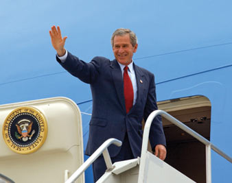 The Bush Hangover