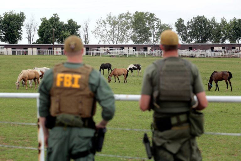   FBI agents overlook a horse ranch under investigation Tuesday, June 12, 2012 in Lexington, Okla. Federal agents raided the Oklahoma ranch and a prominent quarter horse track in New Mexico on Tuesday, alleging the brother of a high-ranking official in a Mexican drug cartel used a horse-breeding operation to launder money. (AP Photo/Brett Deering)  