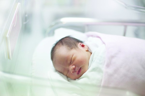 D.C. leads all 50 states in births out of wedlock, Census says