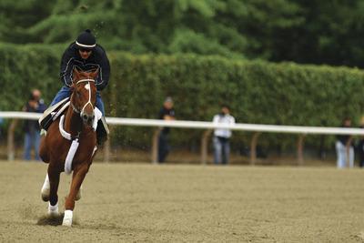 Al Bello/Getty ImagesI'll Have Another will start from the No. 11 post at the Belmont Stakes on Saturday.
