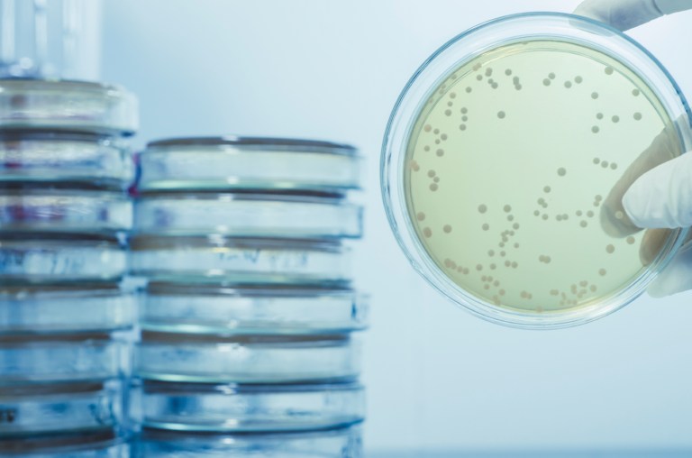 Department of Veterans Affairs officials plan to spend $6.5 million to rid the Iowa City VA hospital of Legionella, which was found in the water pipes. (iStock)