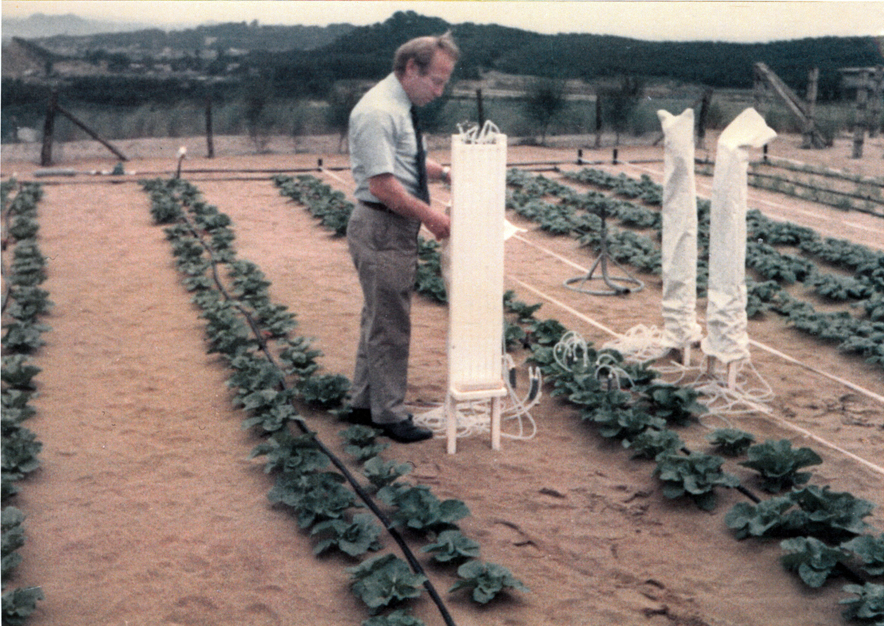 Israeli irrigation expert wins World Food Prize