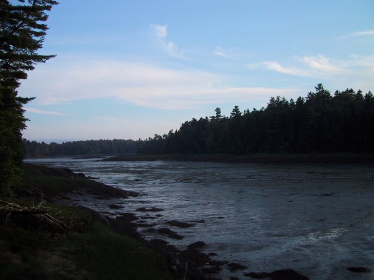 Cobscook Bay State Park (Courtesy photo)