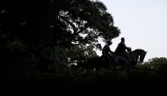 Predominately black group wants to protect Dallas Confederate statues: Report