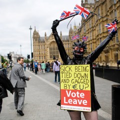 The Post-Brexit Transition