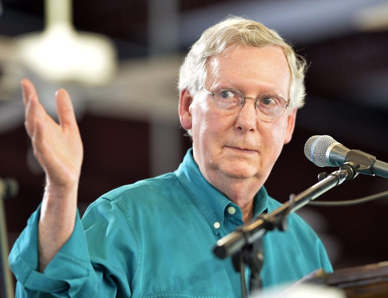 Kentucky Sen. Mitch McConnell speaks to the attendees at an event in Kentucky, Saturday. (AP Photo/Timothy D. Easley)