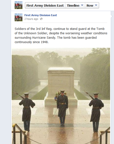 Photo of guards at the Tomb of the Unknown Soldier in storm goes viral