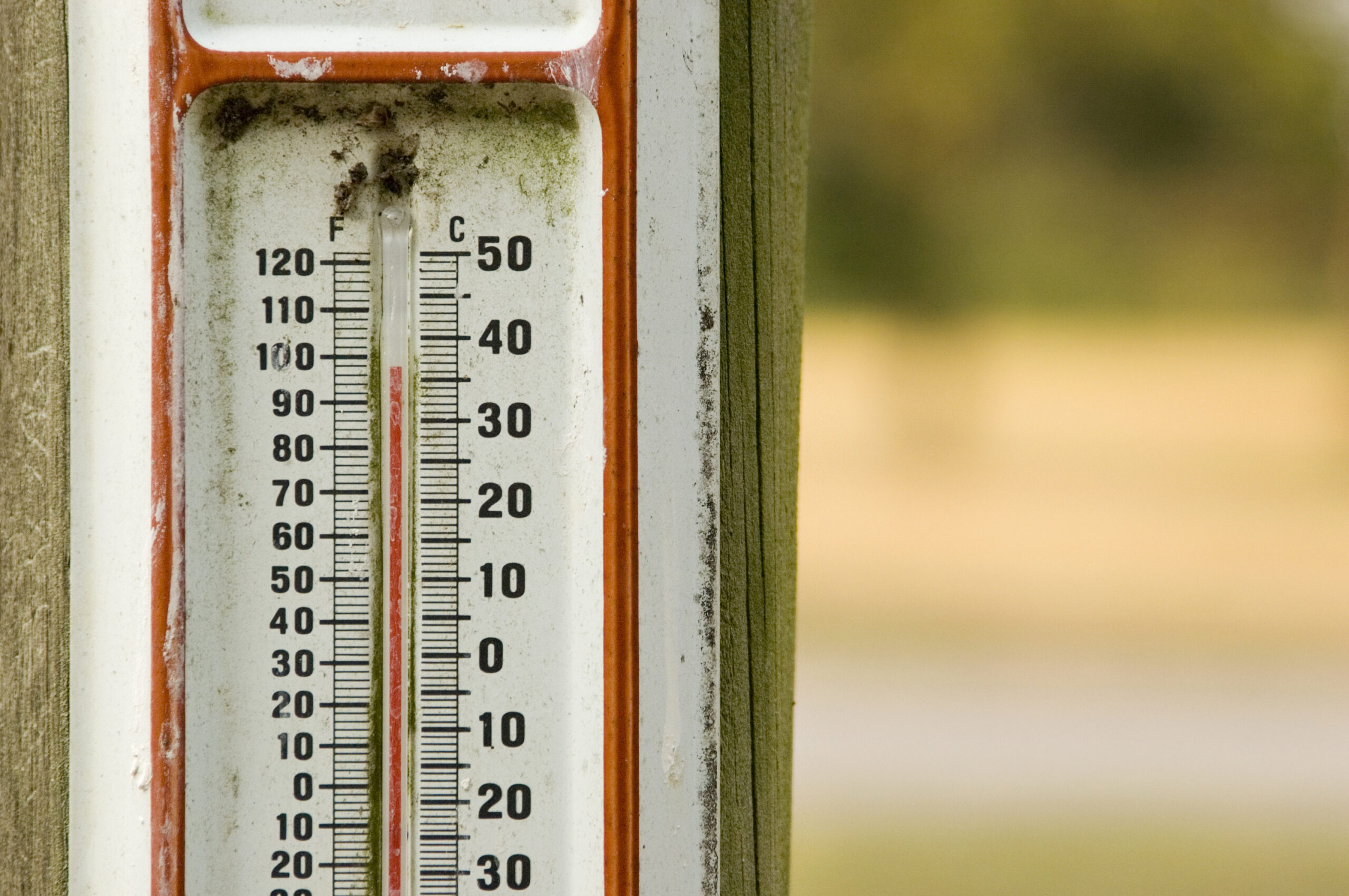 Global warming report could backfire on environmentalists