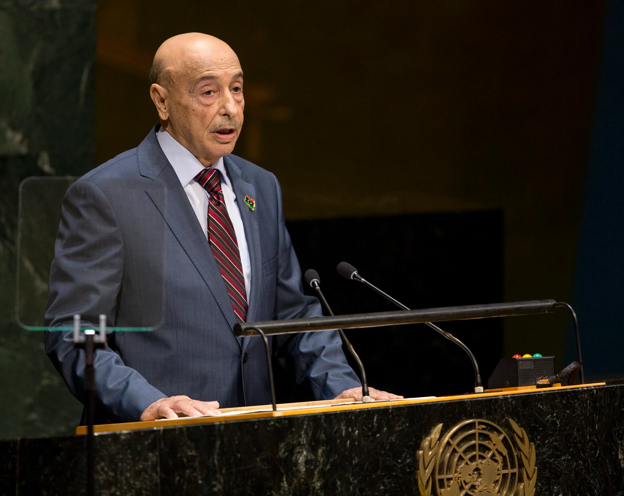 Libya pleads for help in battling terror groups