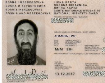 The Undoing of Bin Laden