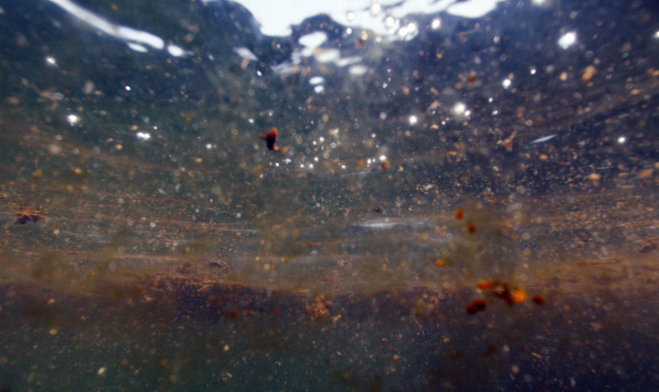 Coast Guard responds to oil spill off Louisiana