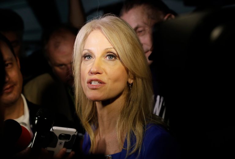 Kellyanne Conway criticized Donald Trump's Republicans defectors Tuesday in her final interview as the GOP presidential nominee's campaign manager, less than hour before election results began pouring in. (AP Photo/Patrick Semansky)
