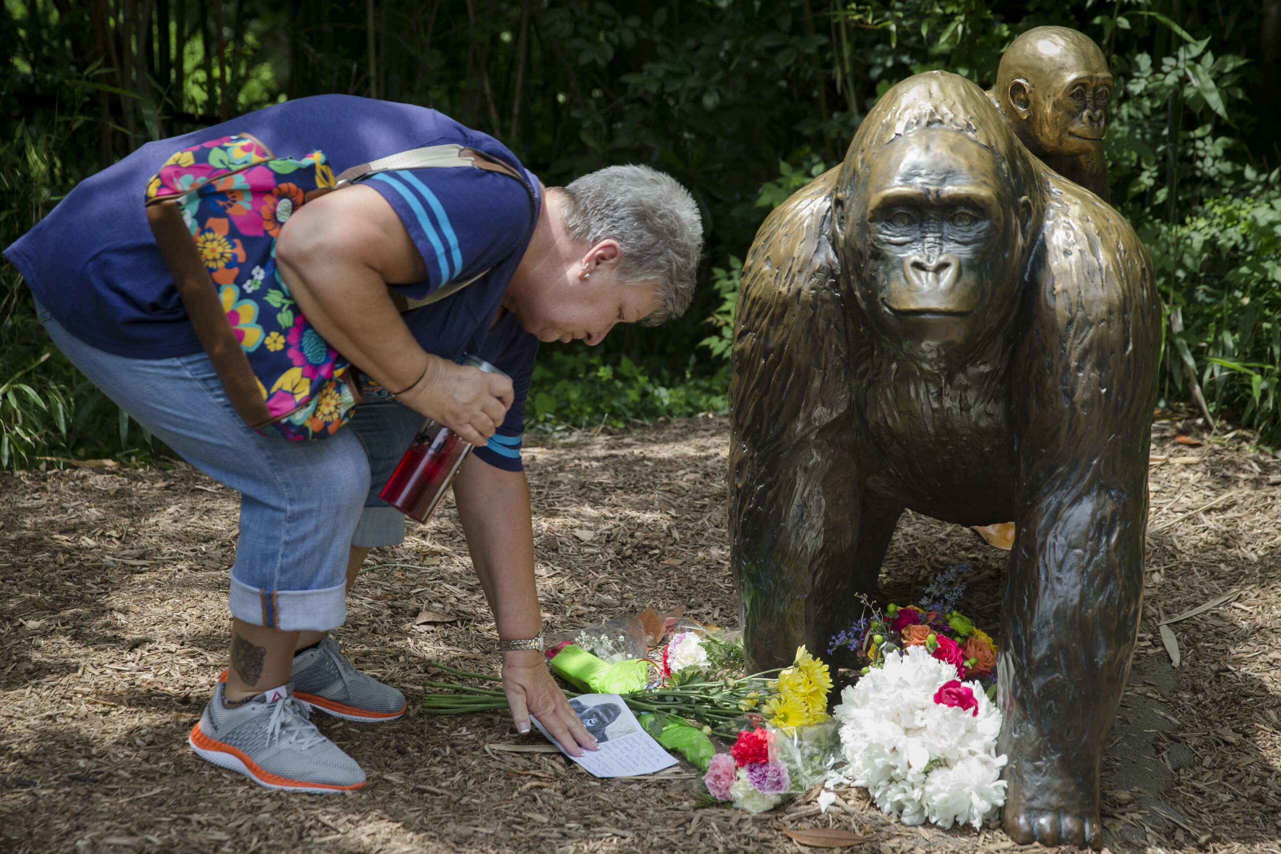 Progressive pundit claims gorilla controversy racist, inspires Twitter battle