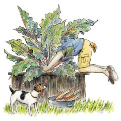 A Man and His Rhubarb