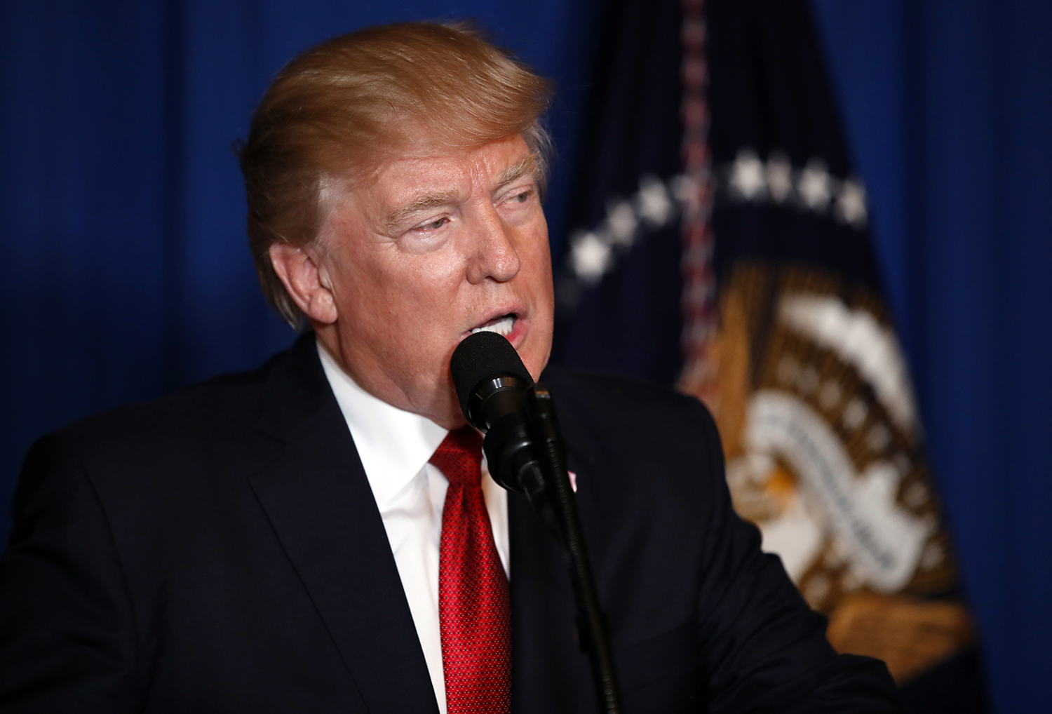 Trump: Syria strike in US ‘vital national security interest’