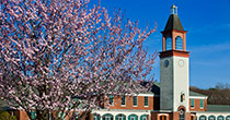 Quinnipiac University's new poll finds support for gay marriage and concern about the U.S. fight with ISIS.