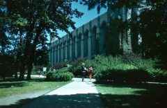 Rights group petitions Senate over campus sexual assault