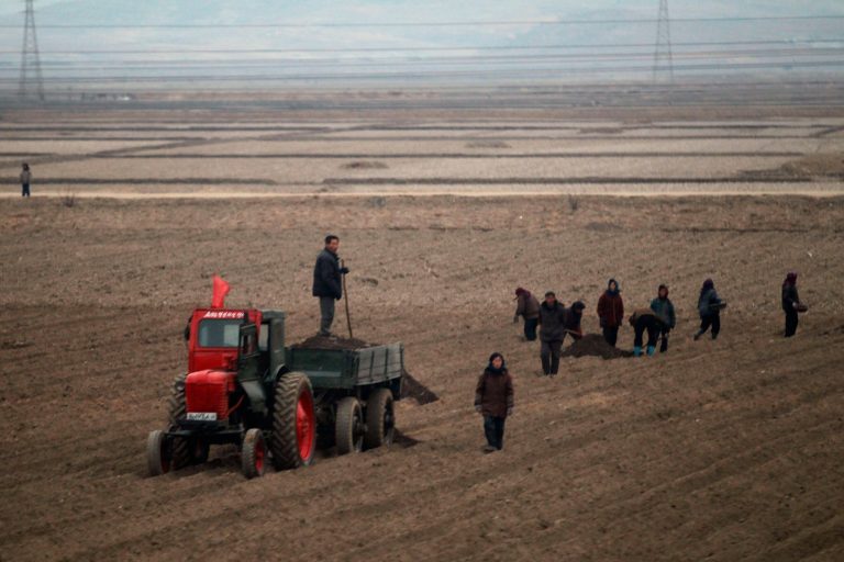   In this photo taken on Sunday, April 8, 2012, North Koreans work in a field on the outskirts of Pyongyang, North Korea. The United Nations has called for $198 million in donations for 2012 - mostly to help feed the hungry but also to invest in programs designed to prevent the chronic deprivation that has led to persistent malnutrition among North Korea's young. (AP Photo/Ng Han Guan)  