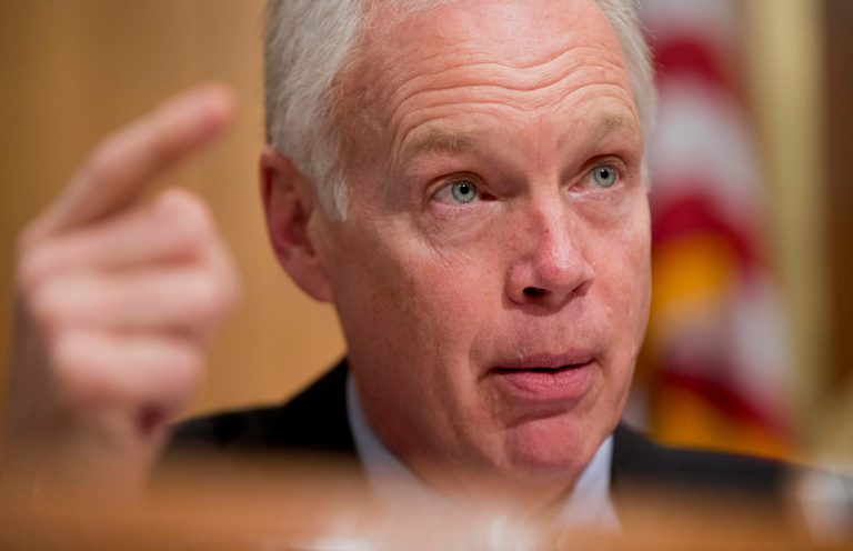 Senate subcommittee on Investigations member Sen. Ron Johnson, R-Wis., questions witnesses during the subcommittee's hearing on 