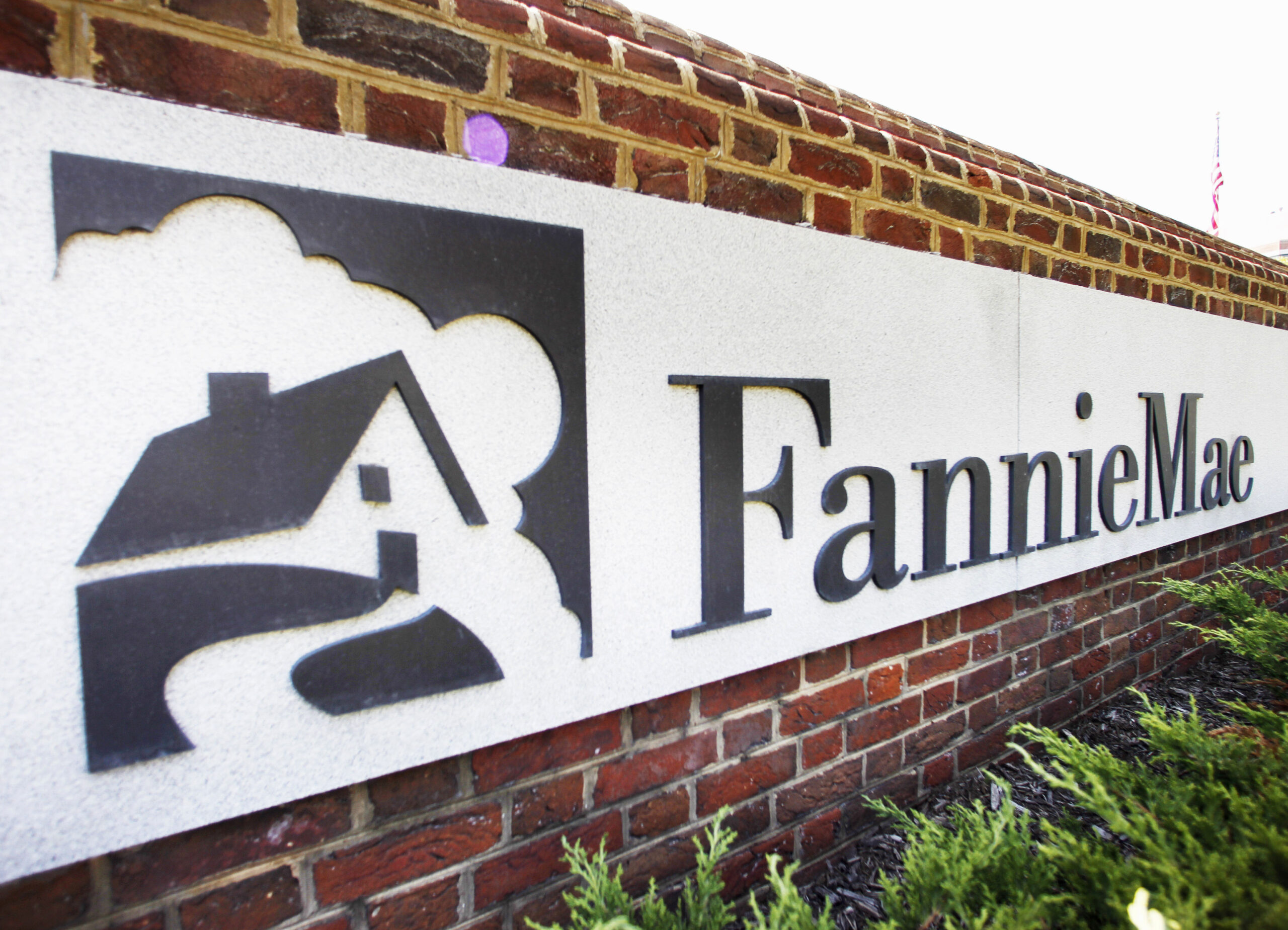 Fannie, Freddie investor predicts bailouts