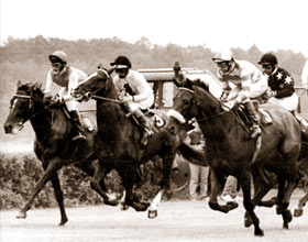 Races to Watch