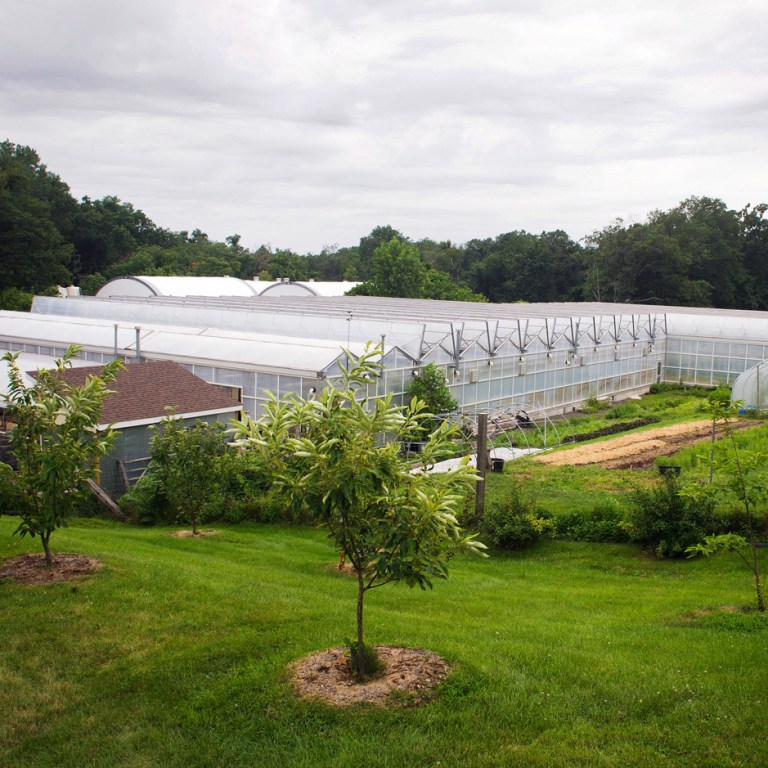 But What Do We Know?