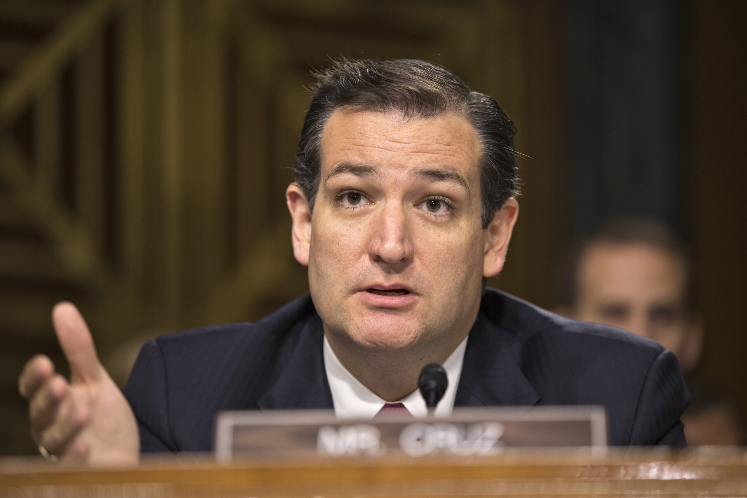 Ted Cruz on immigration bill: ‘They are trying to buy votes’